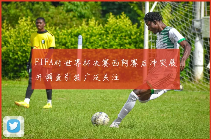 FIFA对世界杯决赛西阿赛后冲突展开调查引发广泛关注