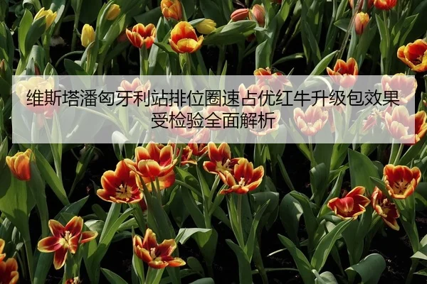 维斯塔潘匈牙利站排位圈速占优红牛升级包效果受检验全面解析